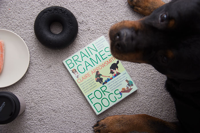 Brain Games for Dogs by Claire Arrowsmith. Book Review