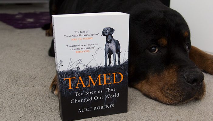 Tamed by Alice Roberts