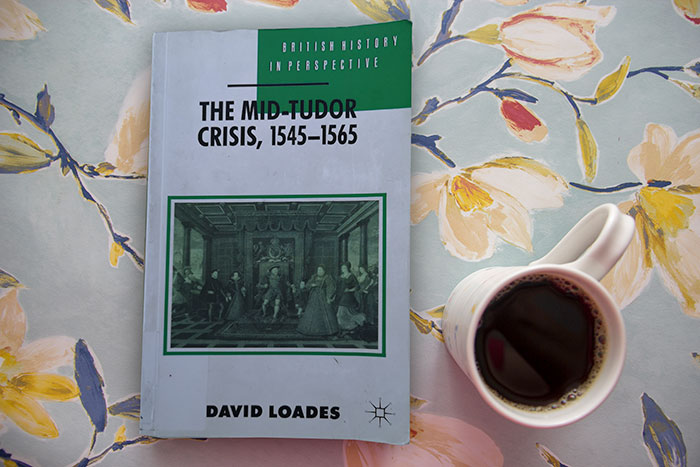 The Mid-Tudor Crisis by David Loades