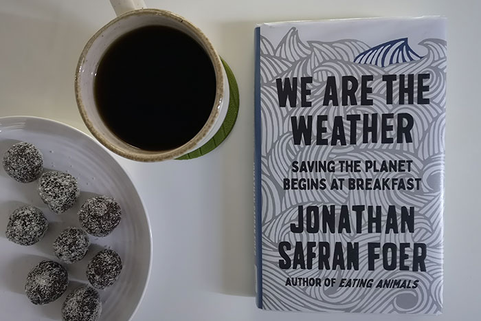 We Are the Weather by Jonathan Safran Foer