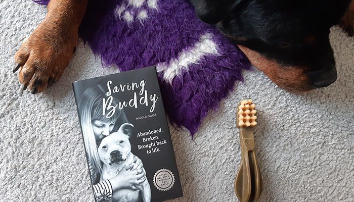 Saving Buddy by Nicola Owst