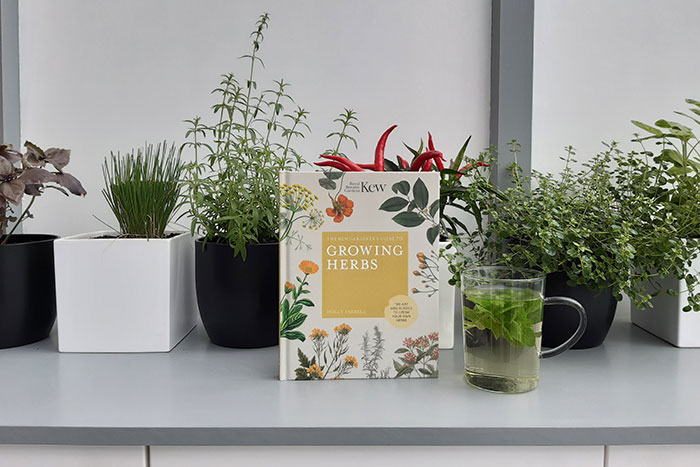 Growing Herbs by Holly Farrell