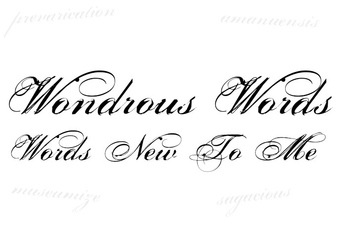 Wondrous Words