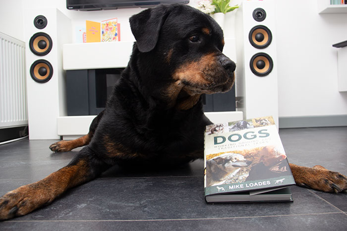 dog with book