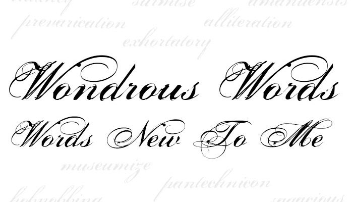Wondrous Words. Words New To Me #3