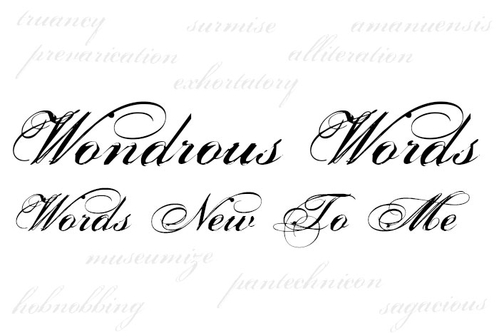 Wondrous Words. Words New To Me #3
