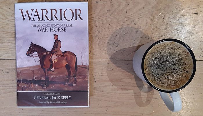 Warrior by Jack Seely