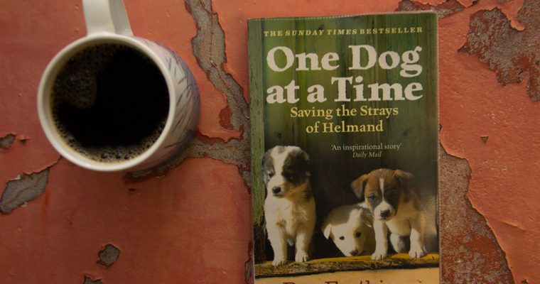 One Dog at a Time by Pen Farthing
