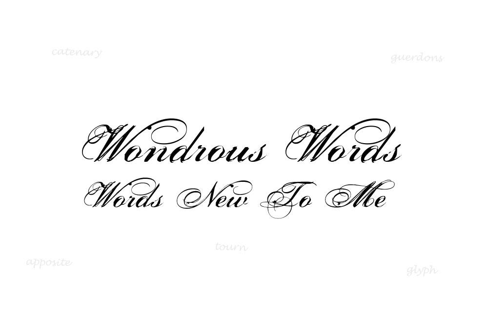 Wondrous Words