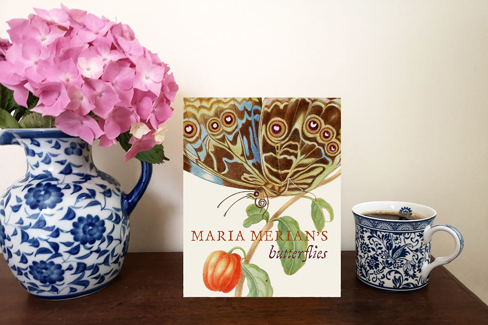 Maria Merian's Butterflies by Kate Heard