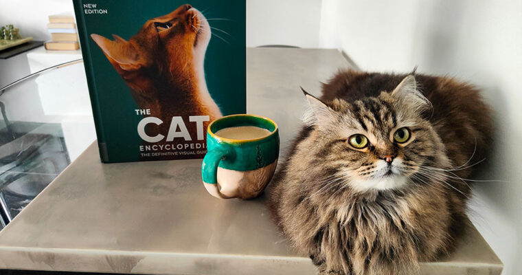 The Cat Encyclopedia by D.K. Publishing