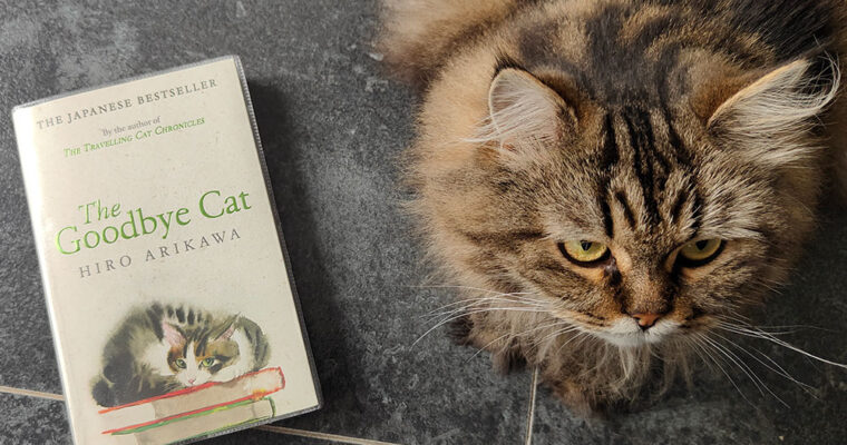 The Goodbye Cat by Hiro Arikawa